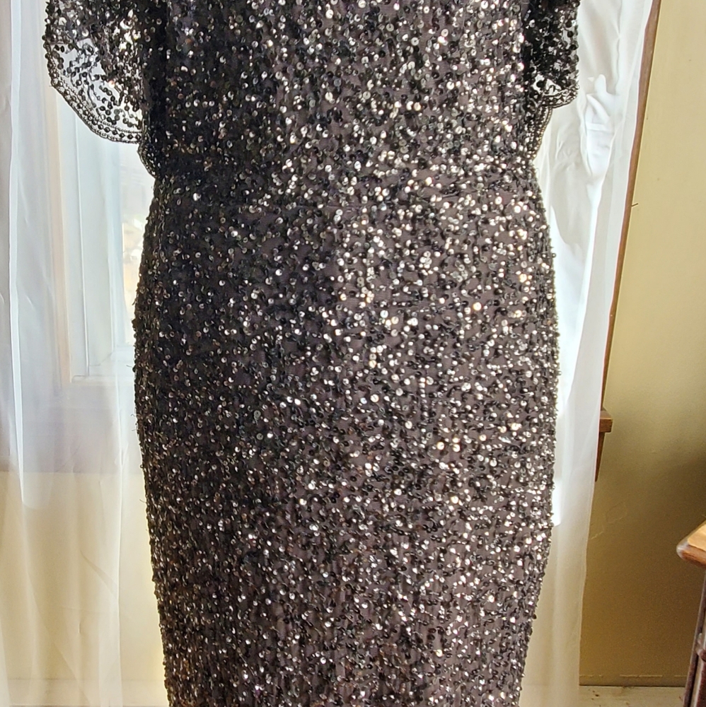 Adrianna Papell Mother of The Bride Lead Sequence Gown